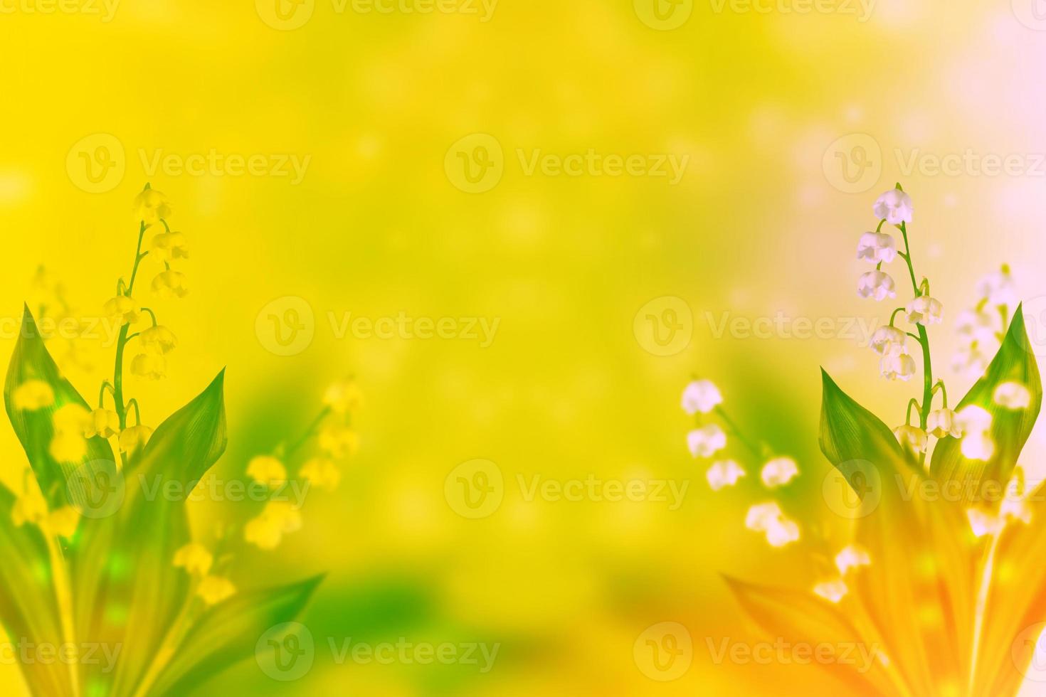 Spring landscape. flowers lily of the valley photo