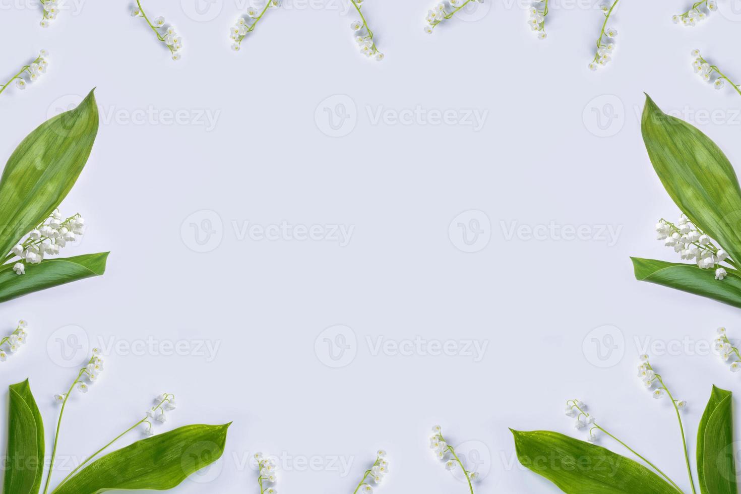 Lily of the valley flower photo