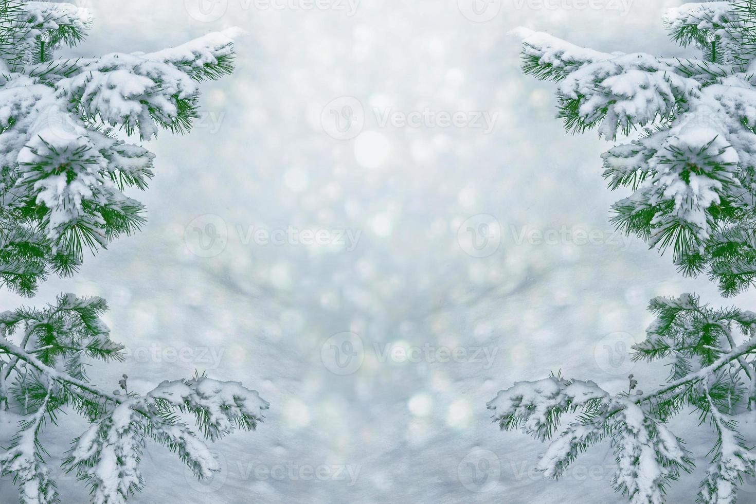 Frozen winter forest with snow covered trees. photo