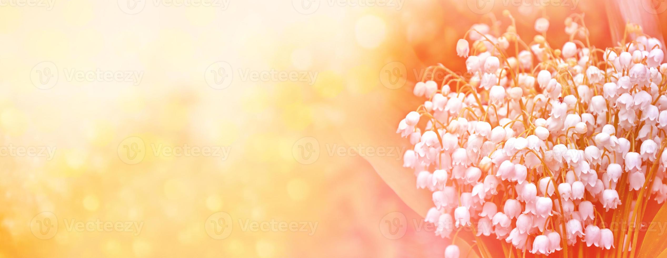 Spring landscape. flowers lily of the valley photo