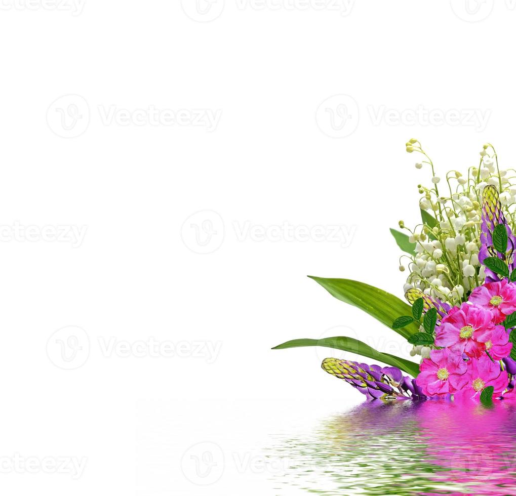 The branch of lilies of the valley flowers isolated on white background photo