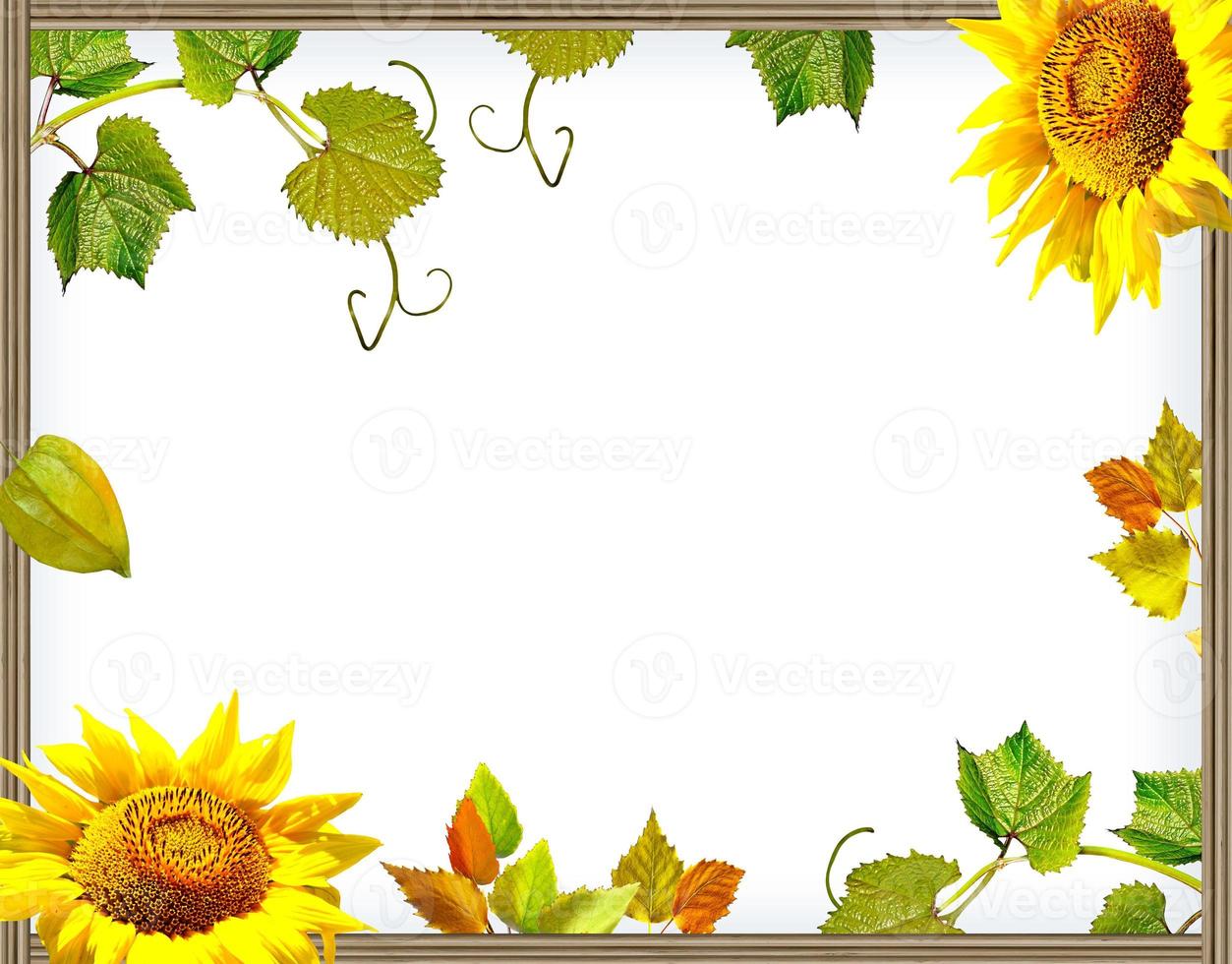Frame of flowers and foliage photo