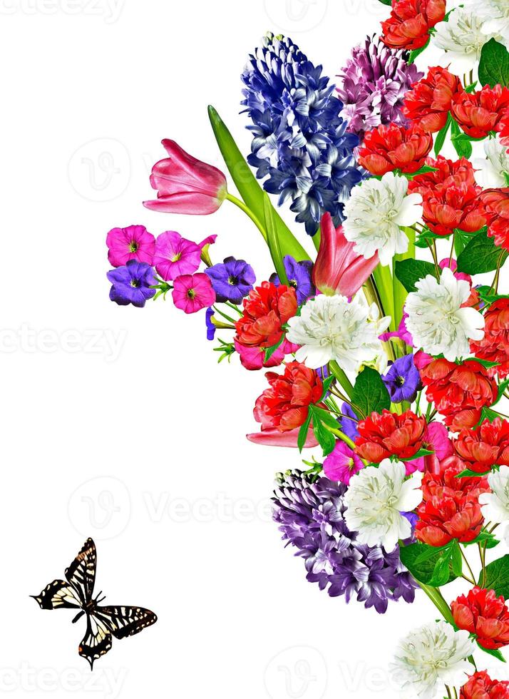 spring flowers tulips isolated on white background.snowdrops flowers and butterflies photo