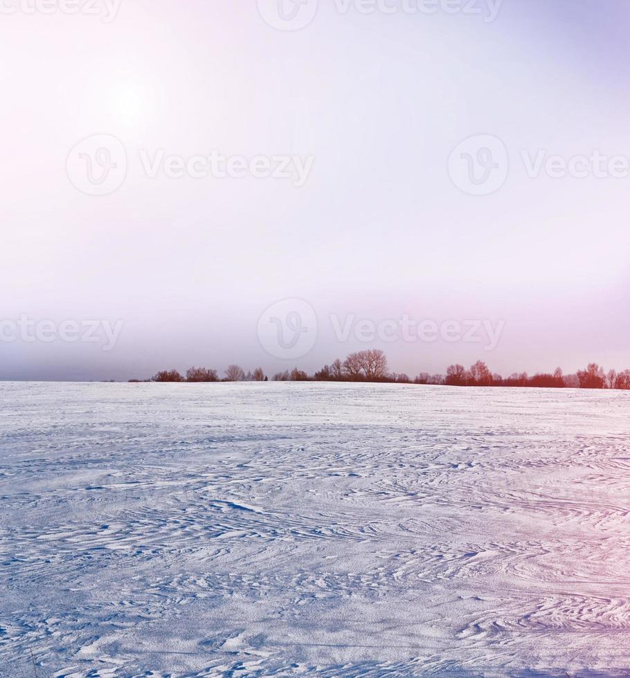 forest in the frost. Winter landscape. Snow covered trees. photo