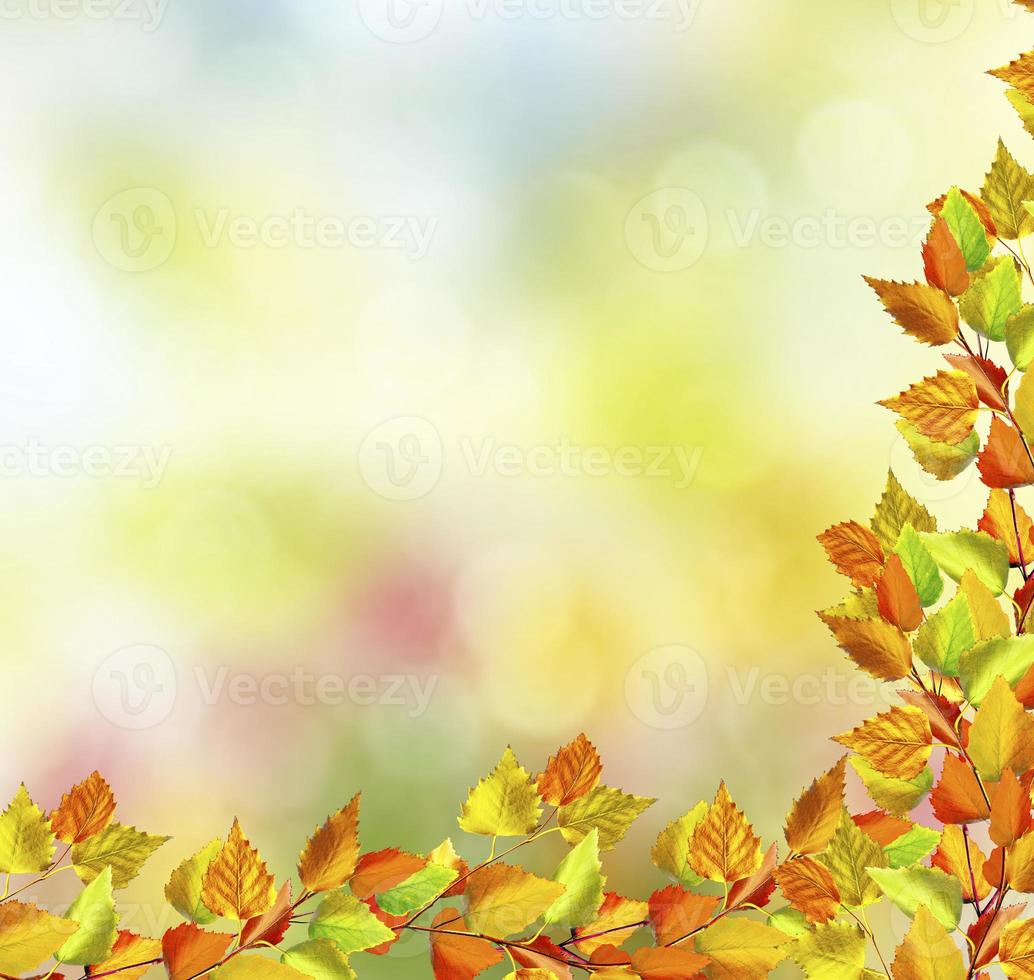 autumn landscape with bright colorful foliage. Indian summer. photo