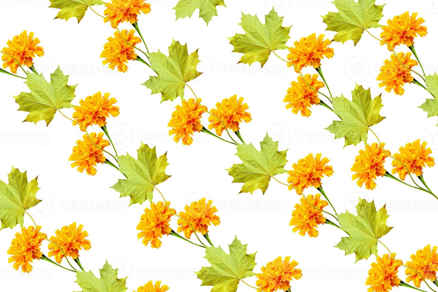 autumn leaves isolated on white background. photo