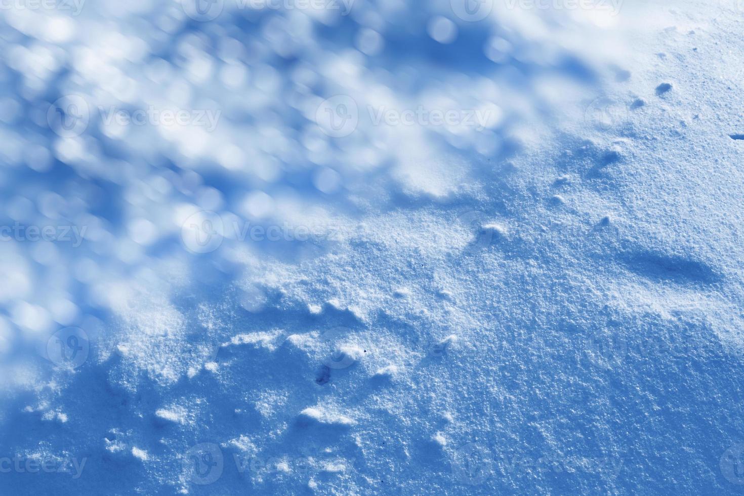 Background of snow. Winter landscape. photo