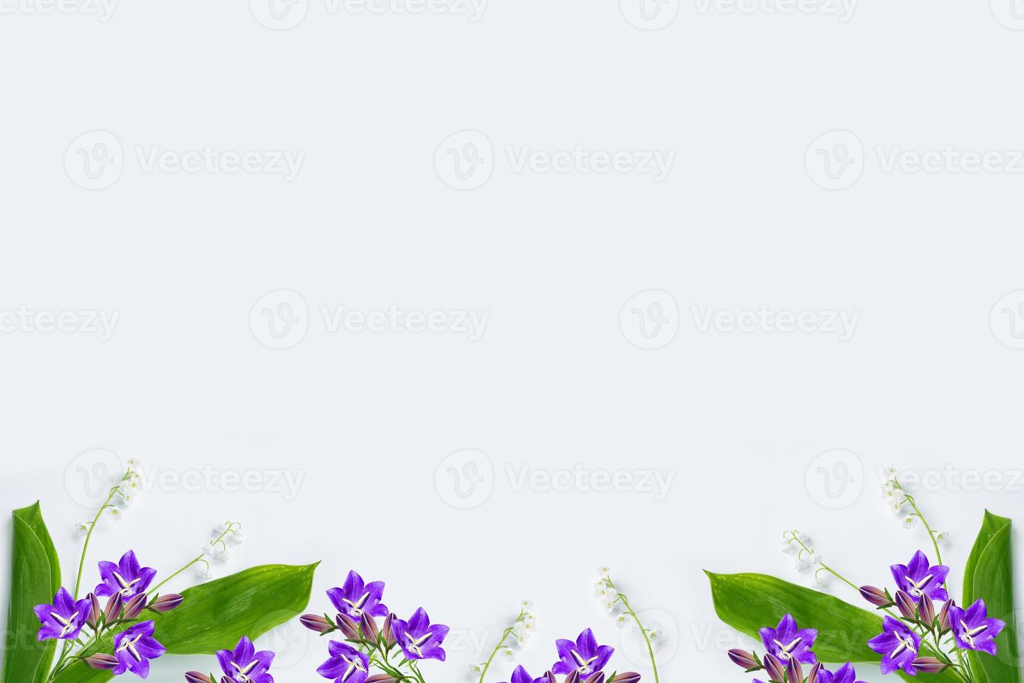 Lily of the valley flower photo