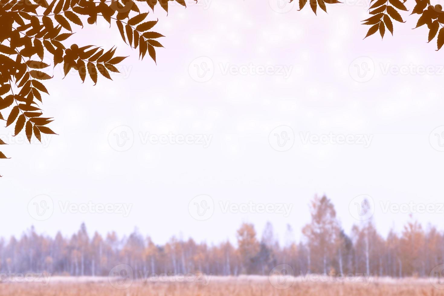 autumn landscape with bright colorful foliage. Indian summer. photo