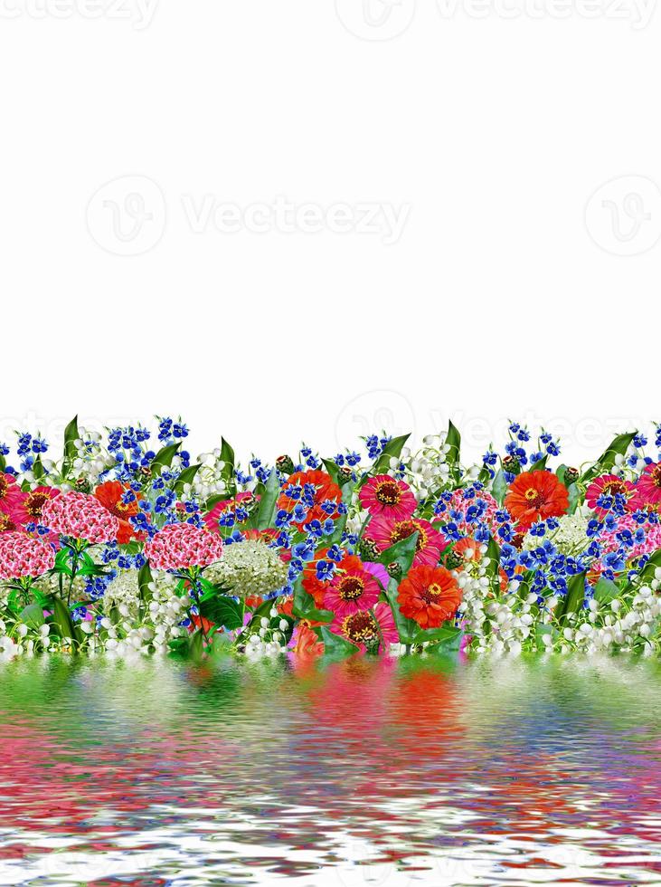 floral background. flowers photo