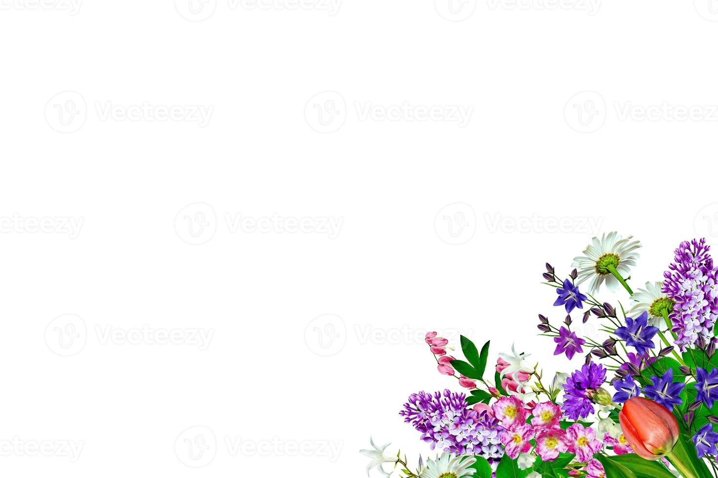 Bright colorful field and garden flowers isolated on white background. photo