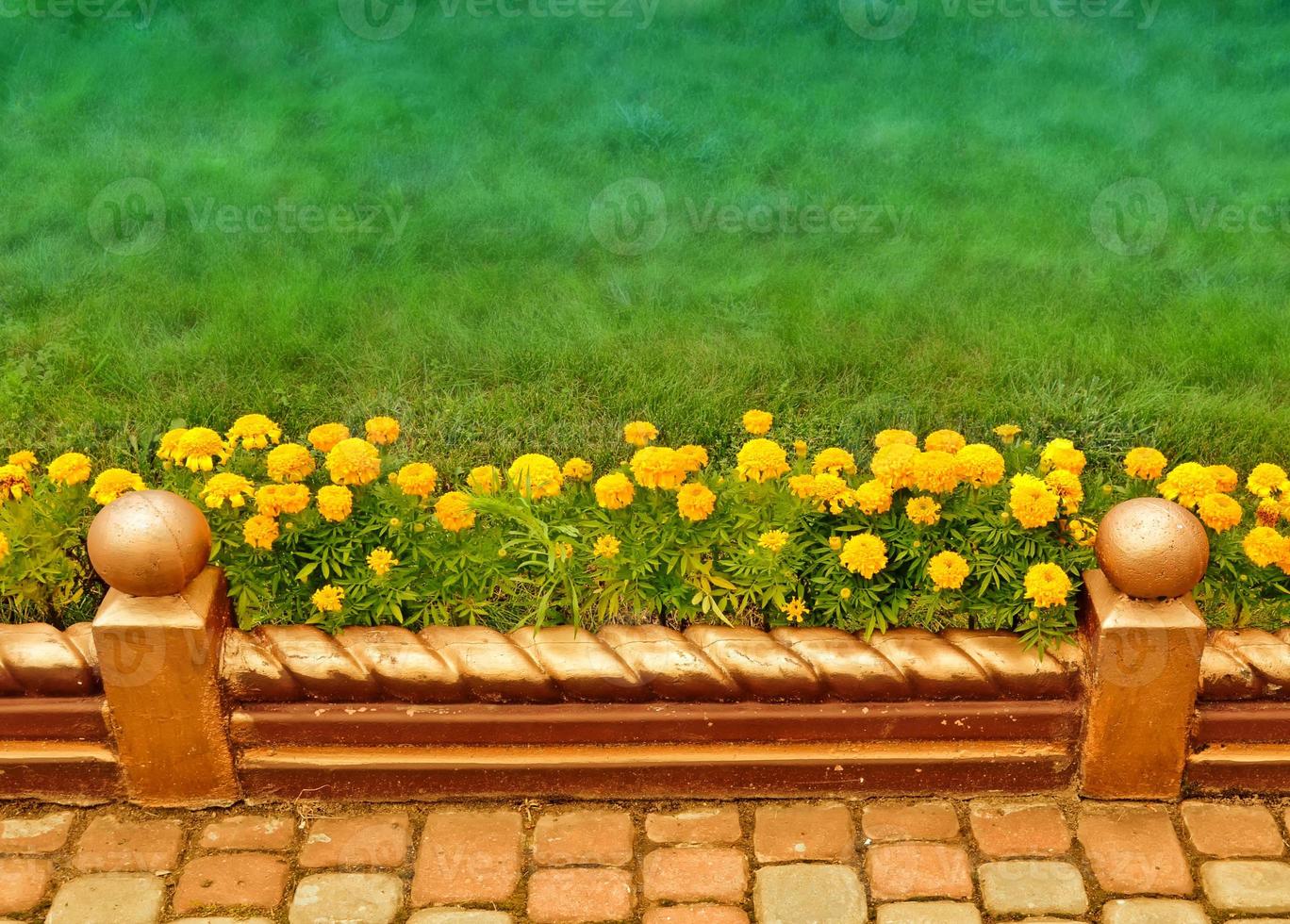 Colorful dahlia flowers on a background of the autumn landscape photo