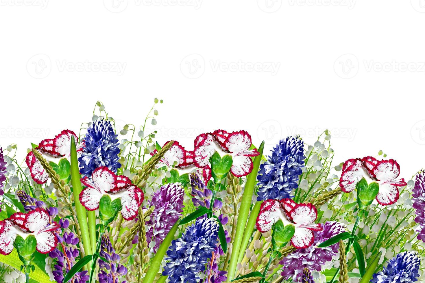 Bright colorful flowers isolated on white background. photo