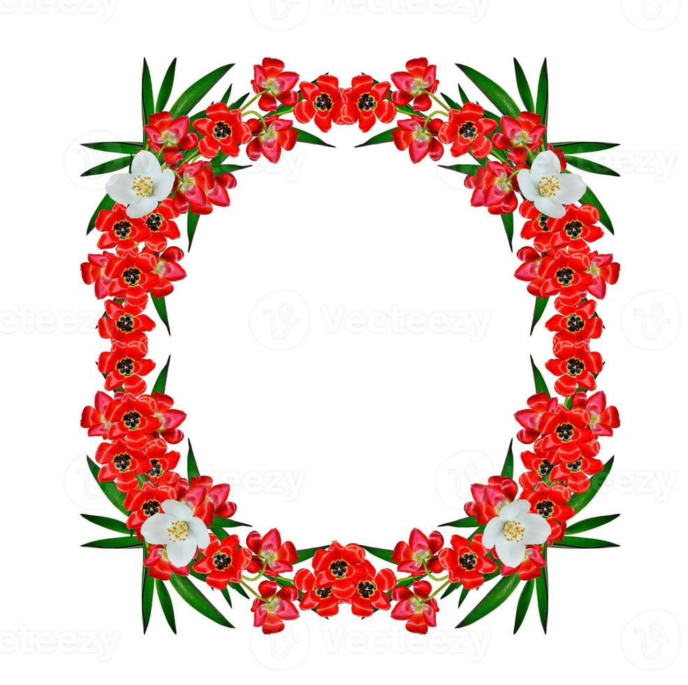 circle frame flowers photo