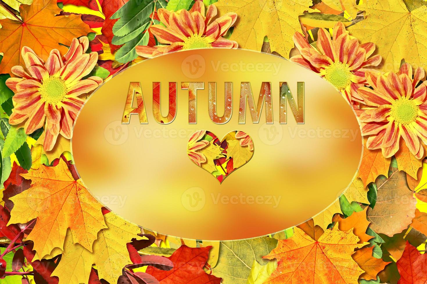 abstract background of autumn leaves photo