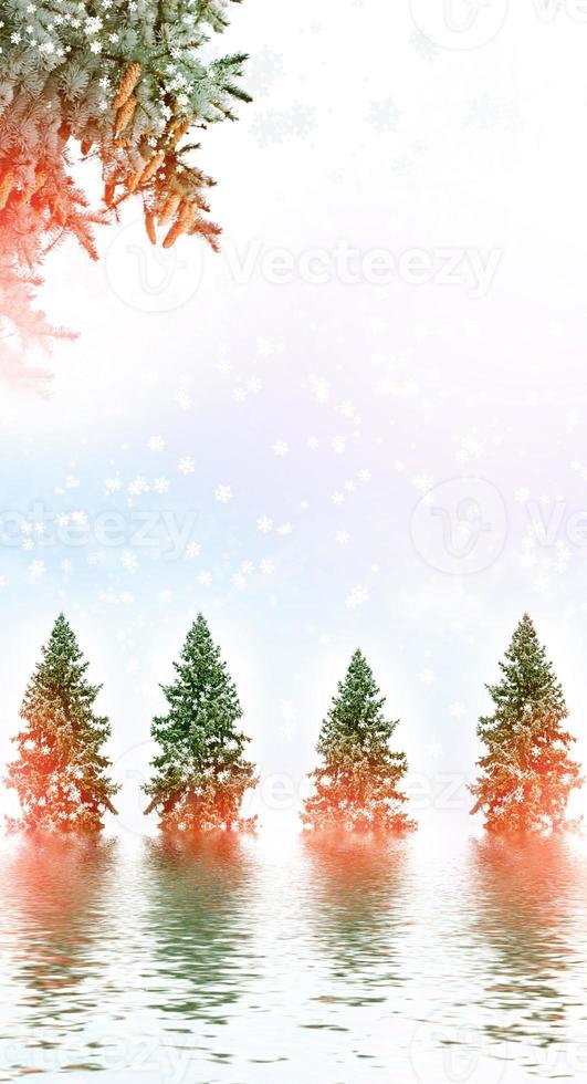 Winter landscape. Winter Forest photo