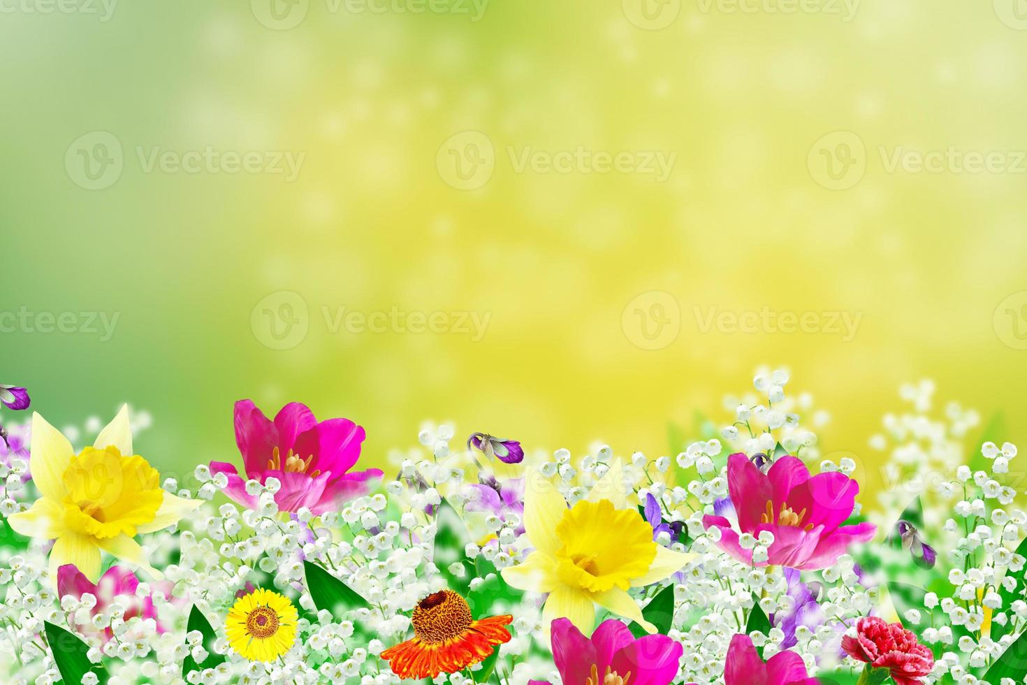 Bright and colorful spring flowers. Floral background. photo