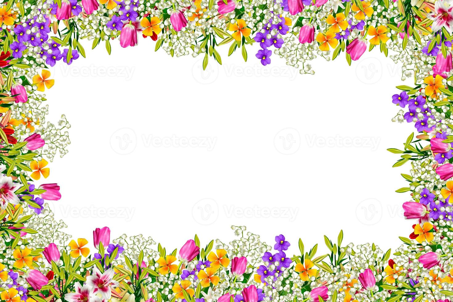 Colorful spring flowers photo