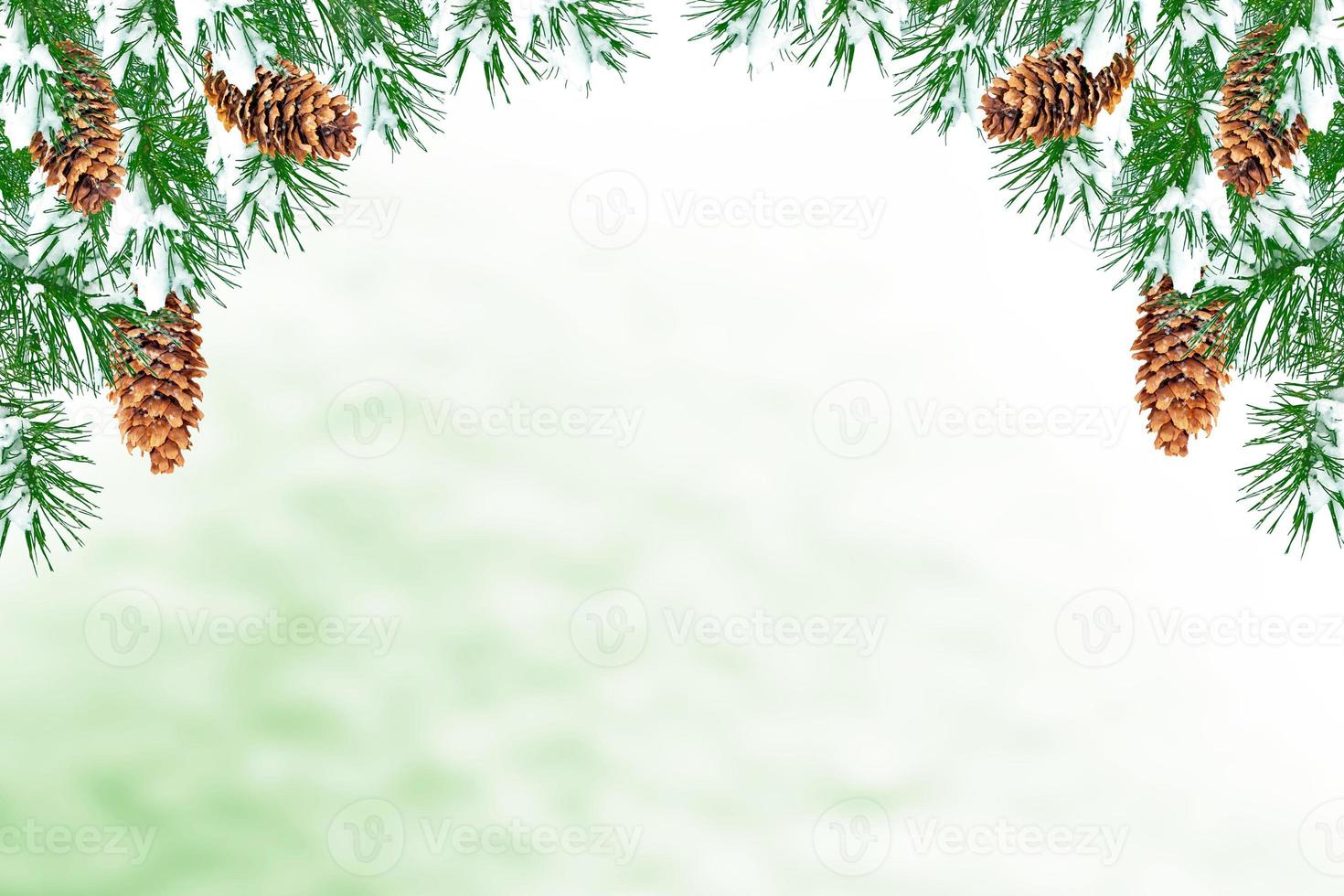 Frozen winter forest with snow covered trees. photo