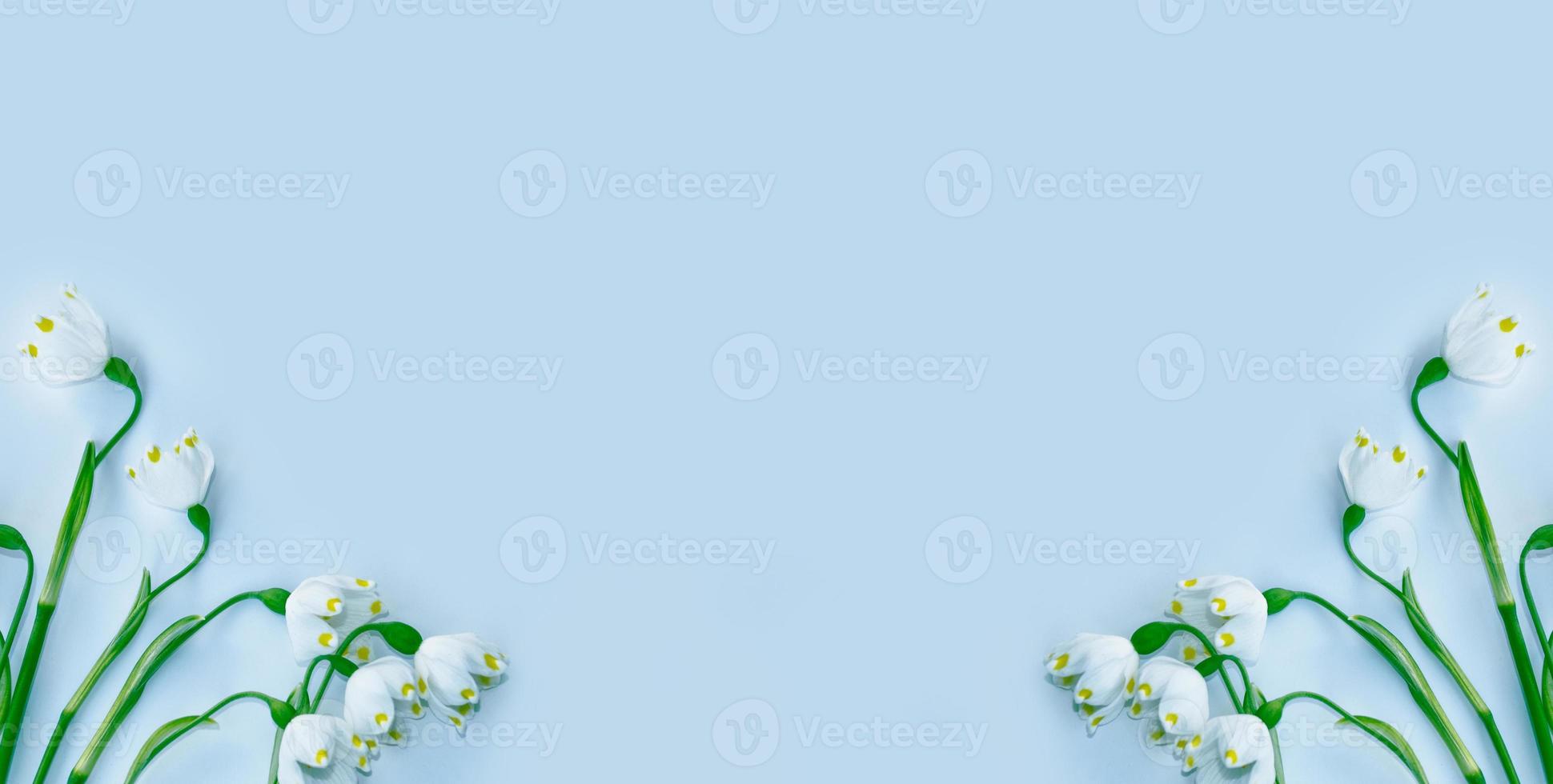 The first delicate spring flower snowdrop. photo