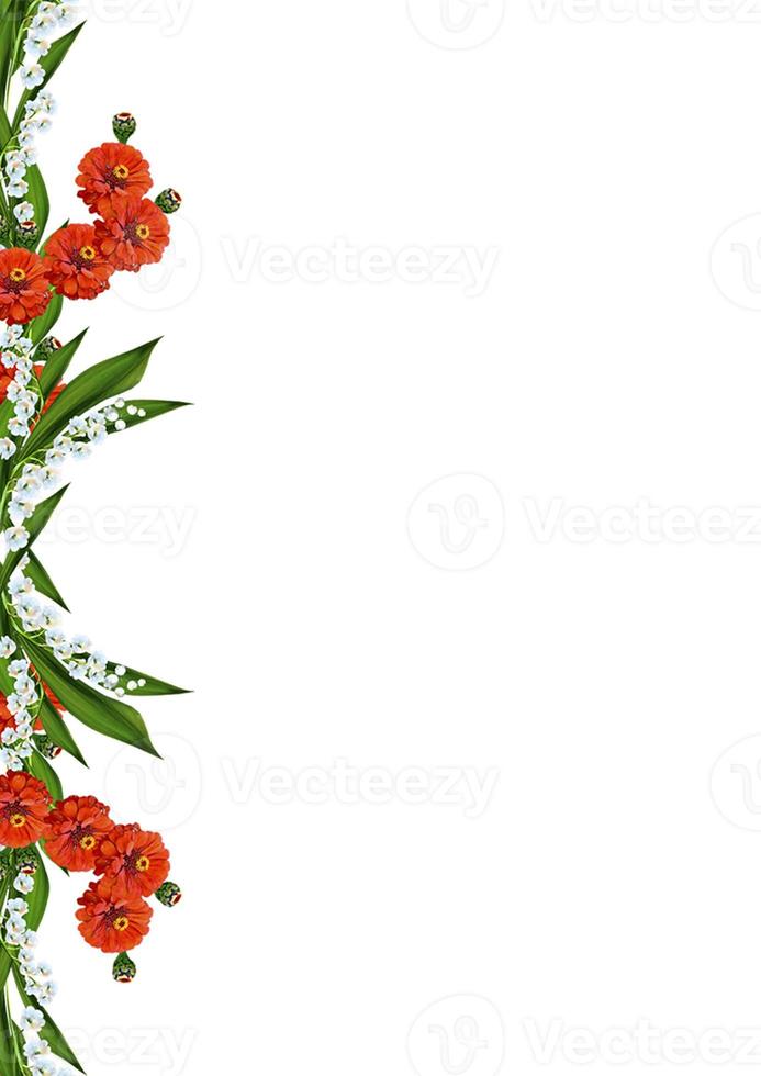 spring flowers isolated on white background photo