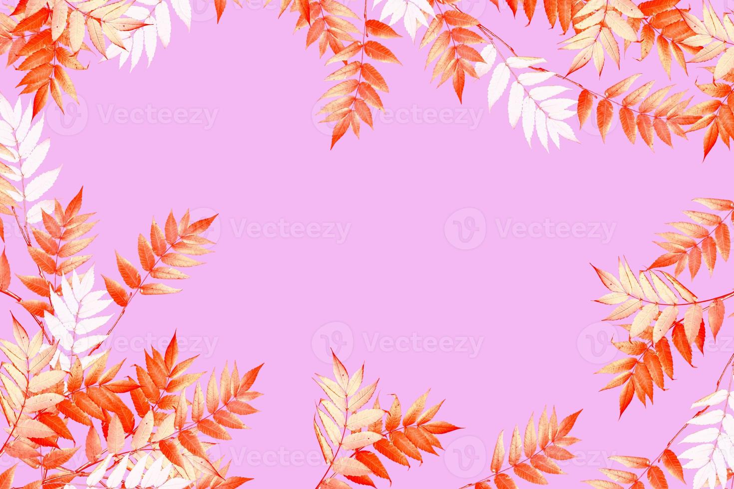 autumn landscape with bright colorful foliage. Indian summer. photo