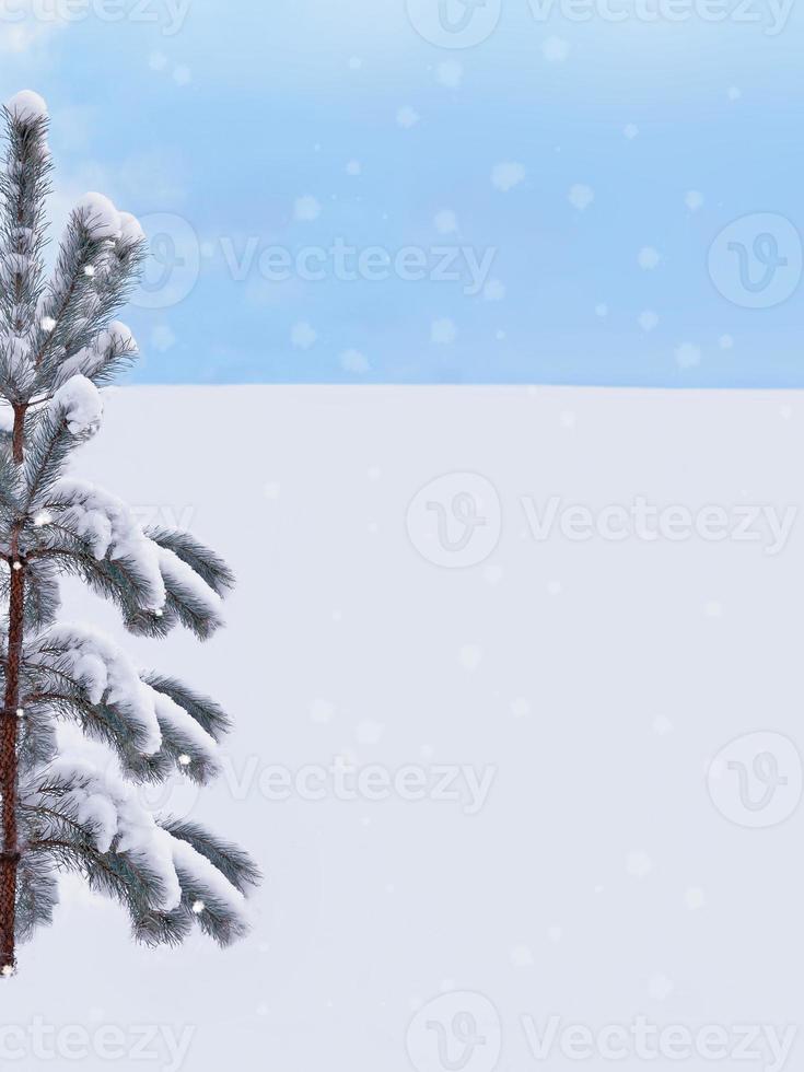 Frozen winter forest with snow covered trees. photo