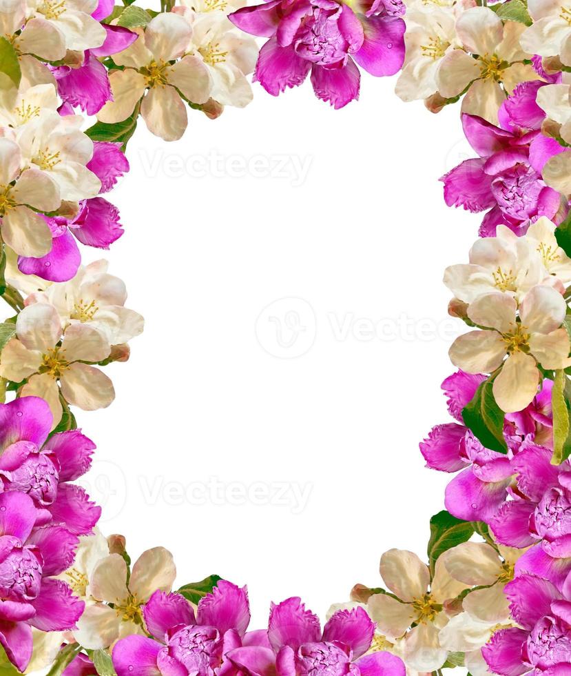 Bright and colorful flowers of apple and peony. photo