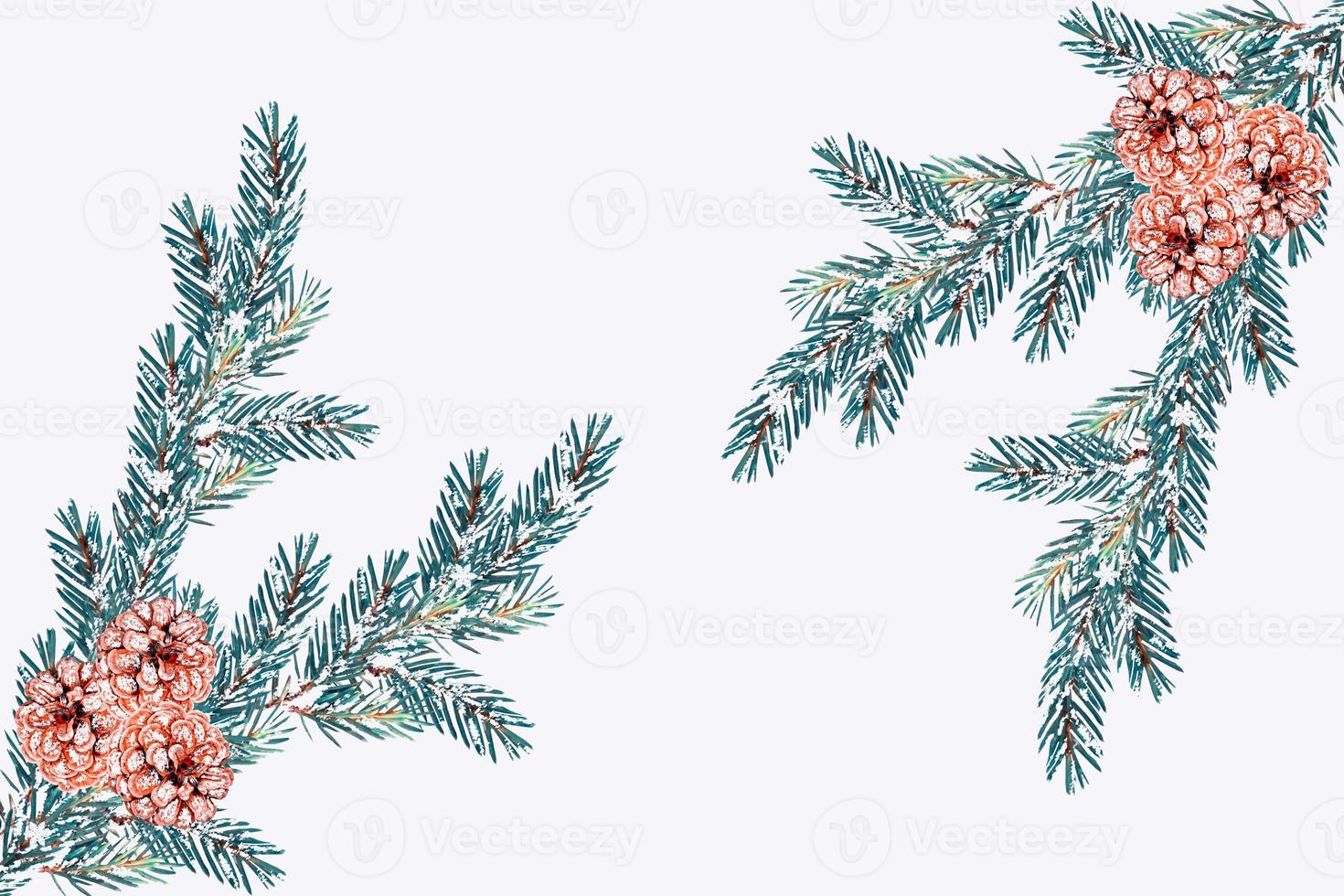 The branches of the snow covered tree Christmas tree photo