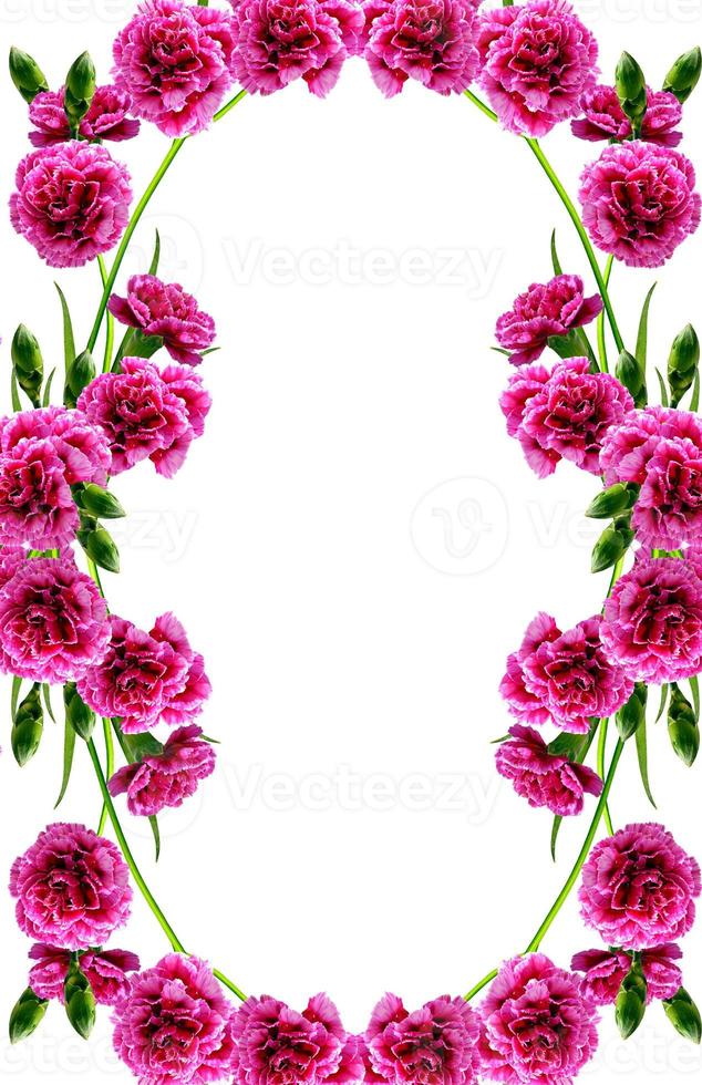 round frame of flowers carnation photo