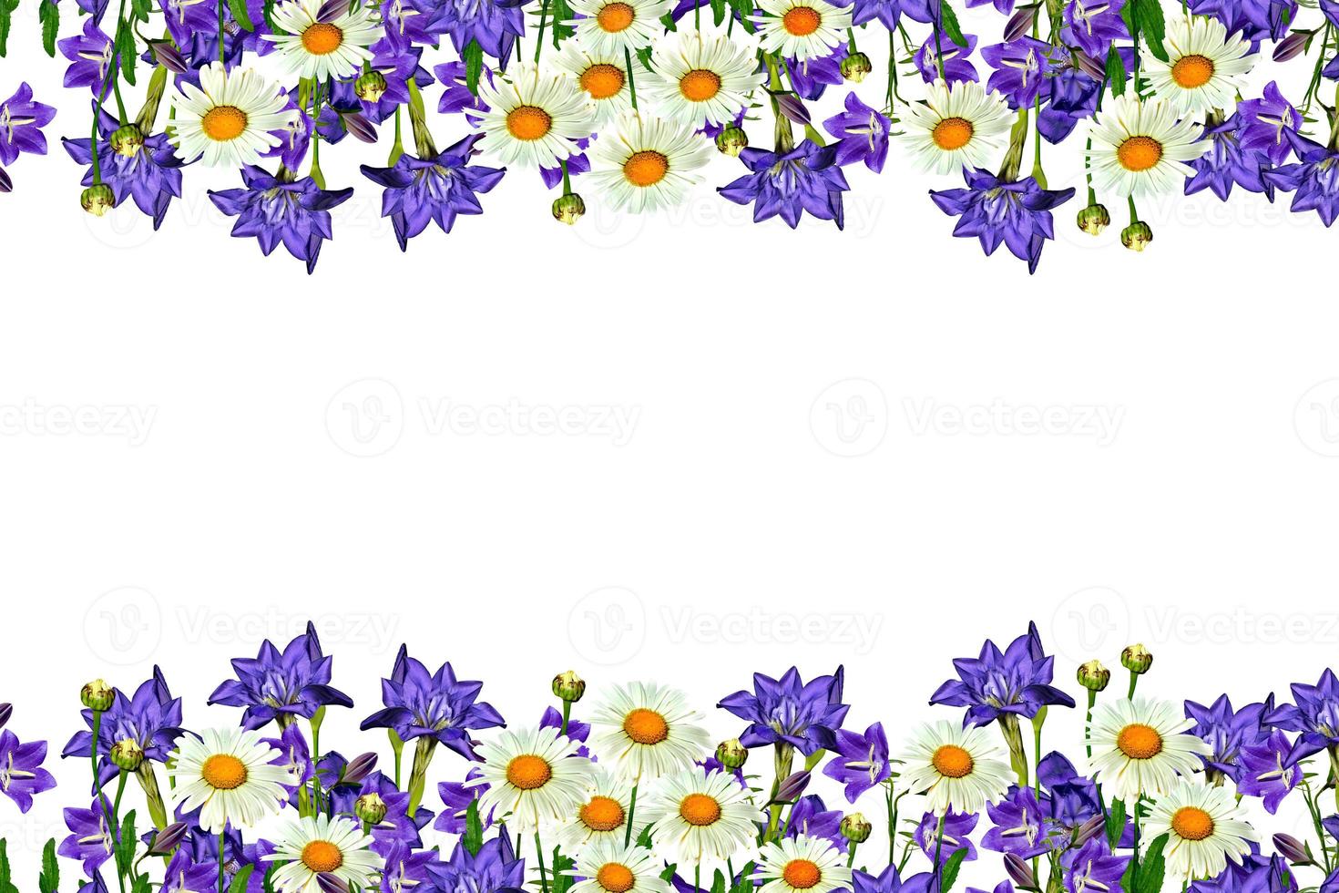 field daisy flowers and bells isolated on white background photo