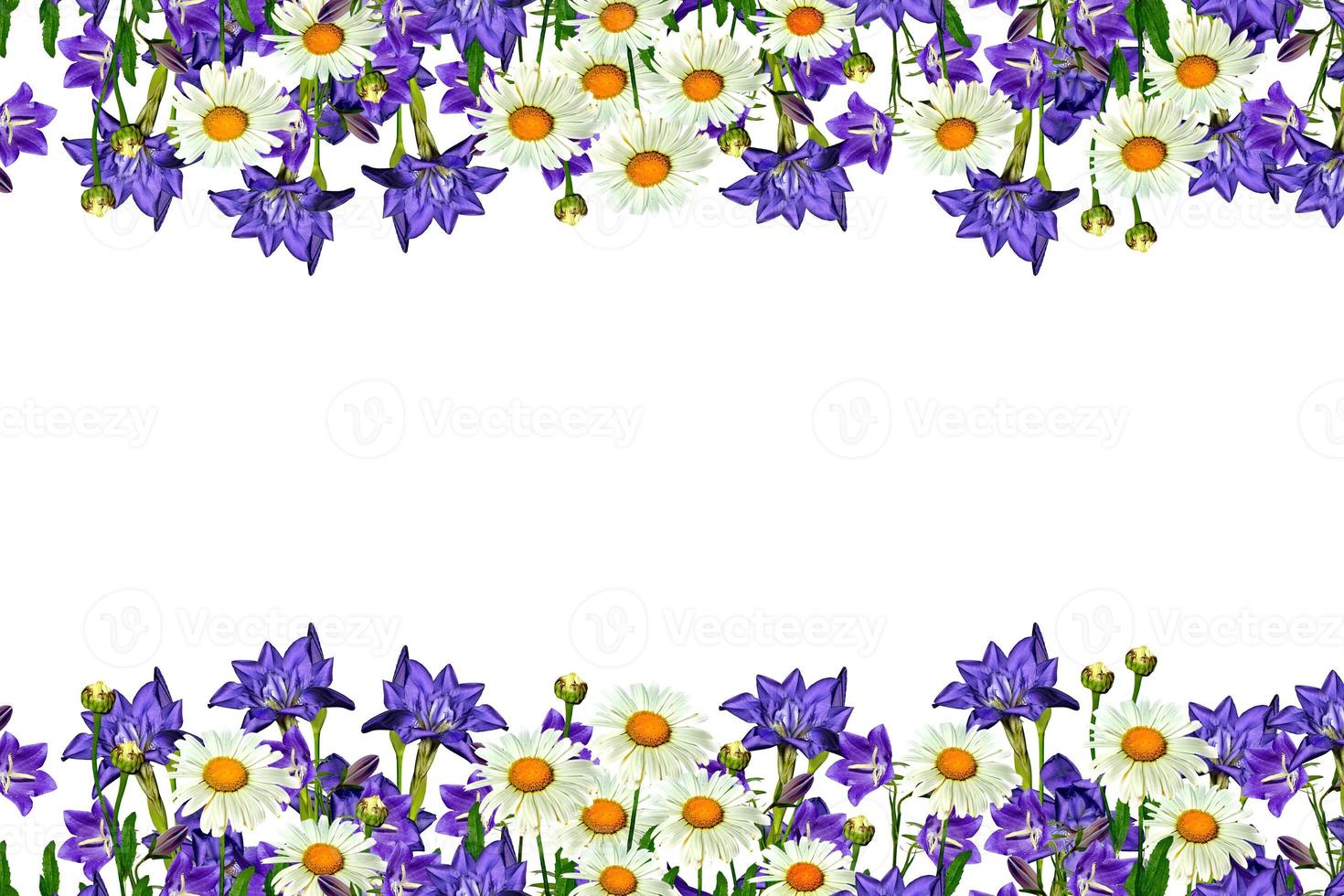 field daisy flowers and bells isolated on white background photo