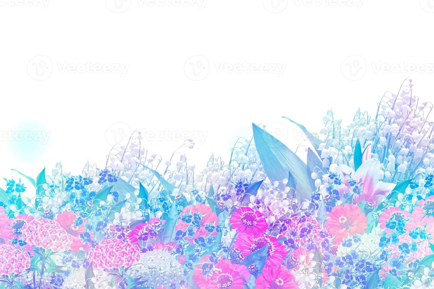 Beautiful flowers isolated on white background. Floral background. photo