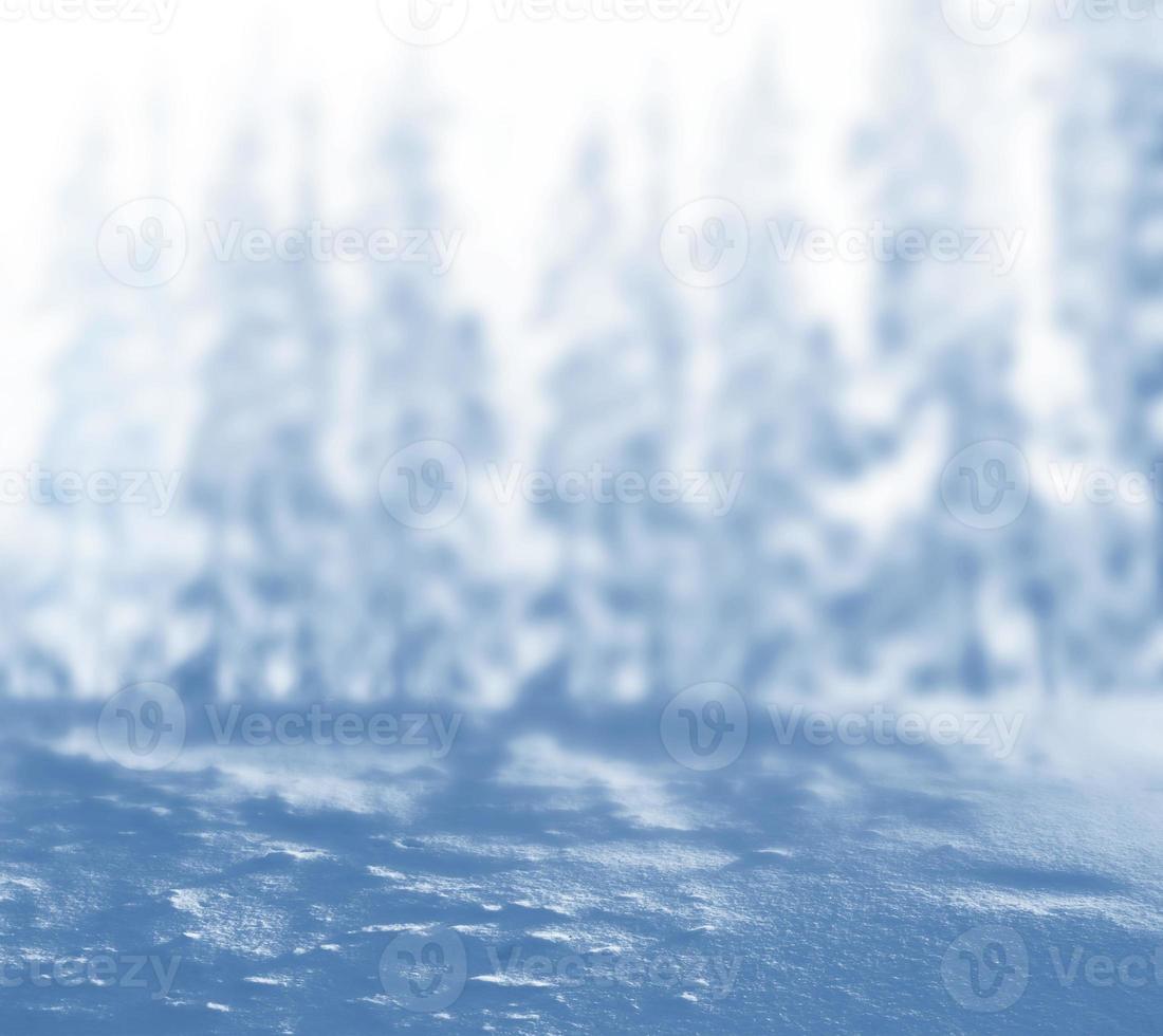 Blurred christmas background. Trees in the snow. Winter Forest photo