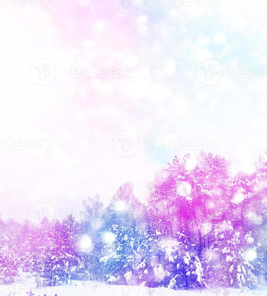bosque en la escarcha. paisaje de invierno árboles cubiertos de nieve. foto