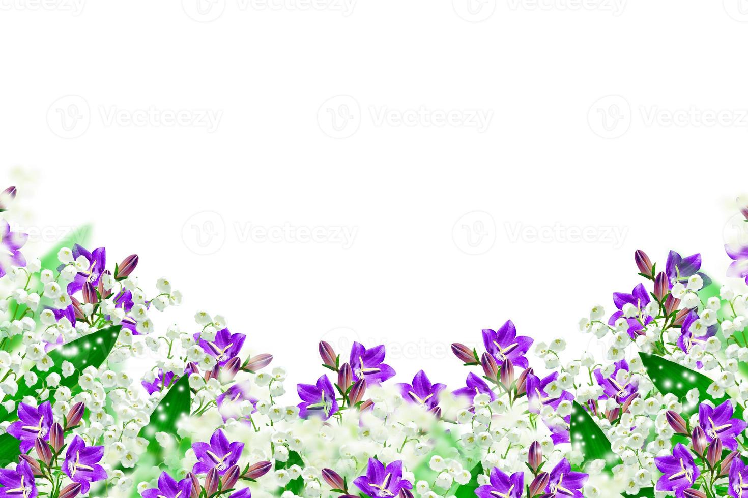 flor de lirio de los valles sobre fondo blanco foto