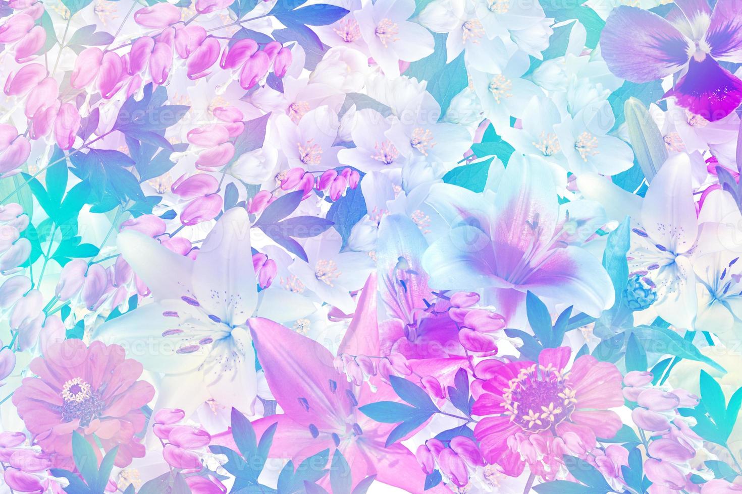 Floral background of colorful flowers. colorful flowers. photo