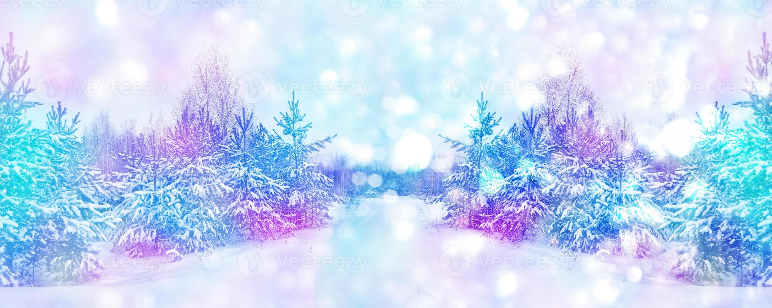 Frozen winter forest with snow covered trees. photo