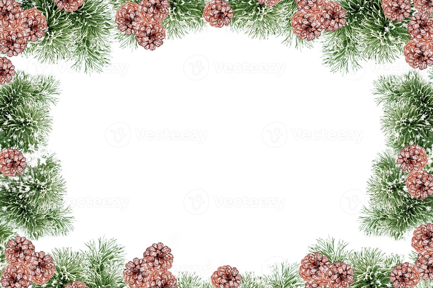 The branches of the snow covered tree Christmas tree photo