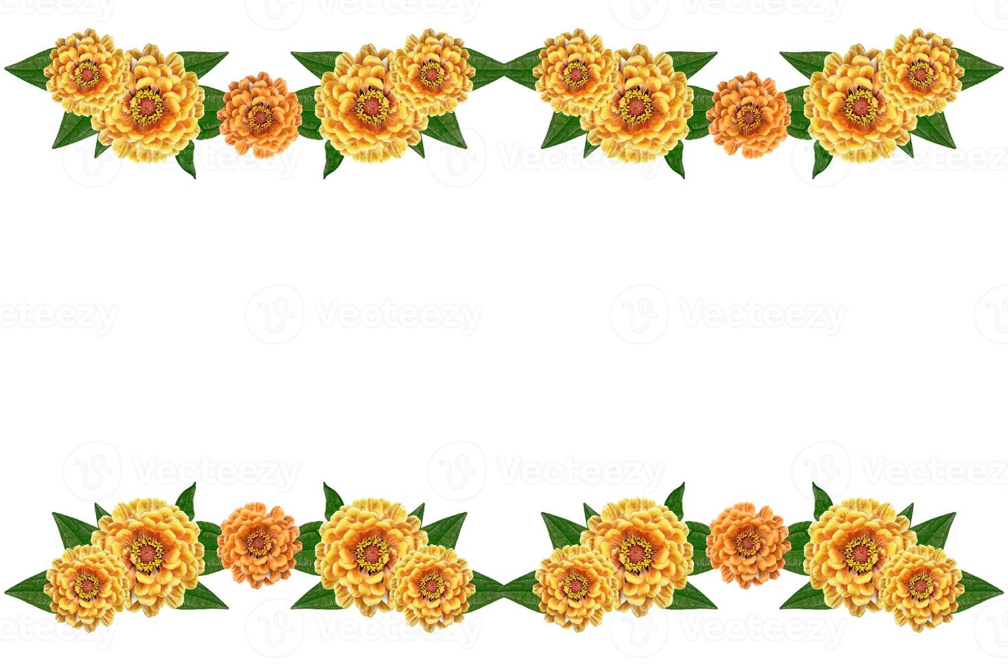 Petunias isolated on a white background. Colorful flowers. photo