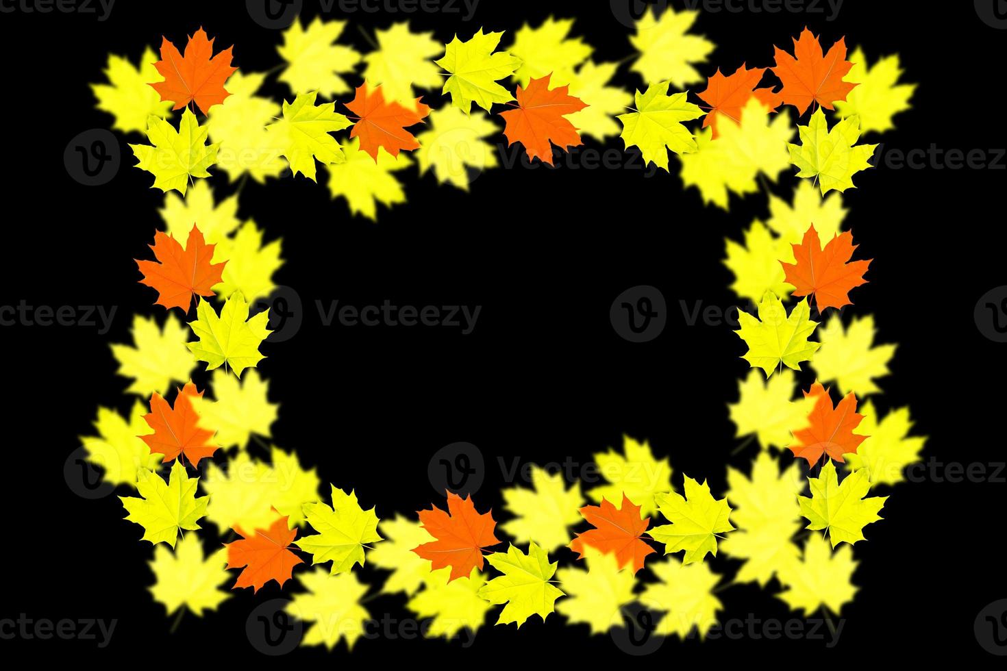 Bright colorful autumn leaves photo