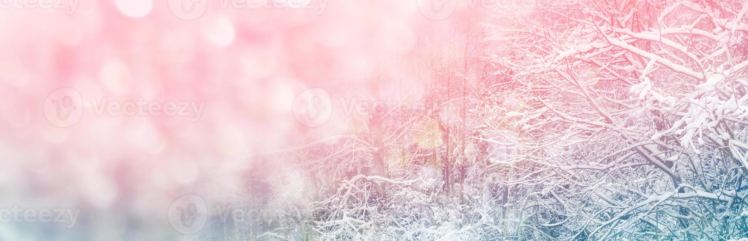 Frozen winter forest with snow covered trees. photo