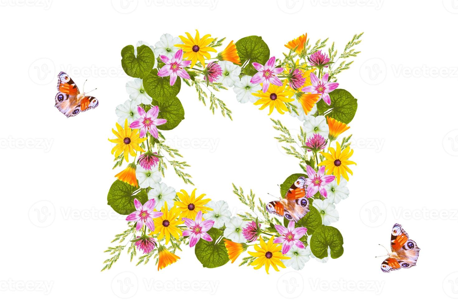 Floral background. Wildflowers isolated on a white background. Bouquet of flowers. photo