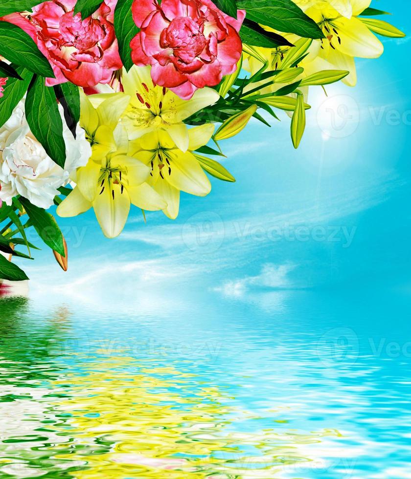 lily flowers on a background of blue sky with clouds photo