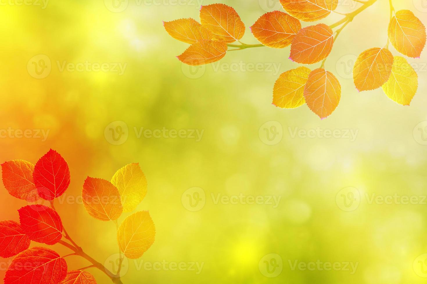 autumn landscape with bright colorful foliage. Indian summer. photo