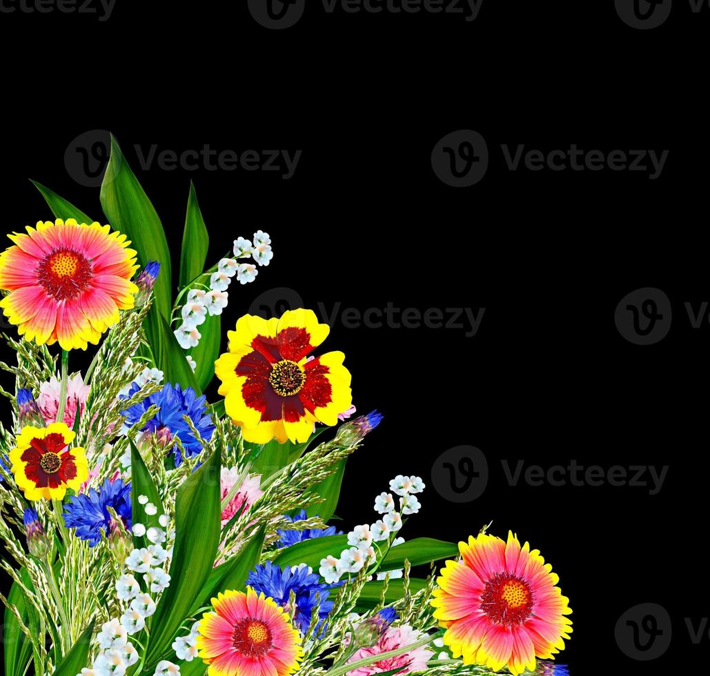 Colorful flowers of the field photo