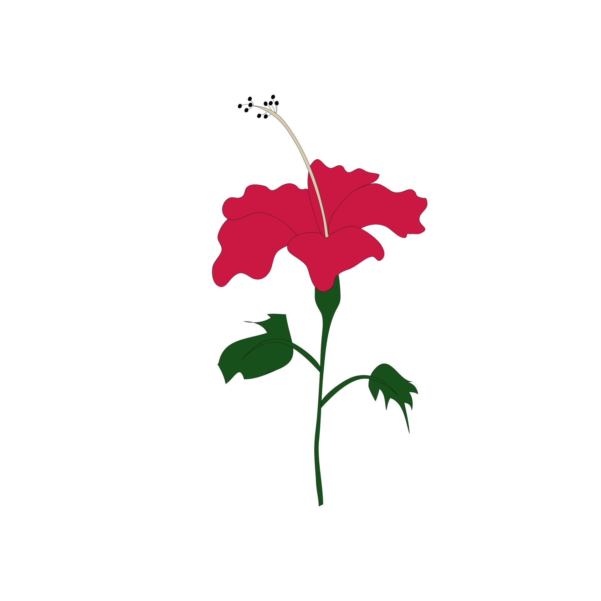 red-flower-on-transparent-background-9897627-png