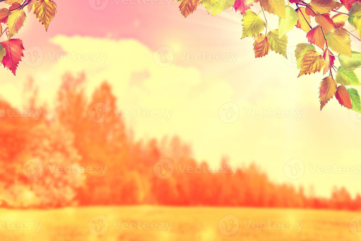 autumn landscape with bright colorful foliage. Indian summer. photo