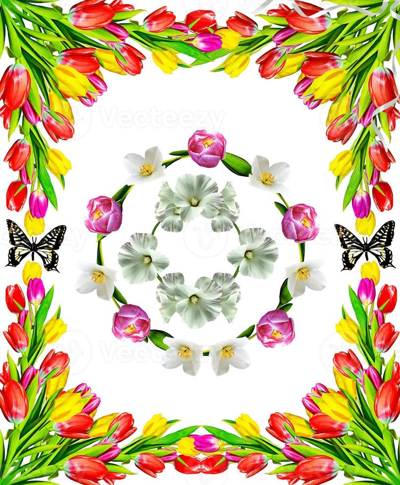 Flowers, tulips. Floral composition. photo