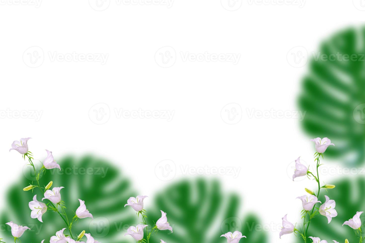 Floral natural background of bright colorful flowers photo